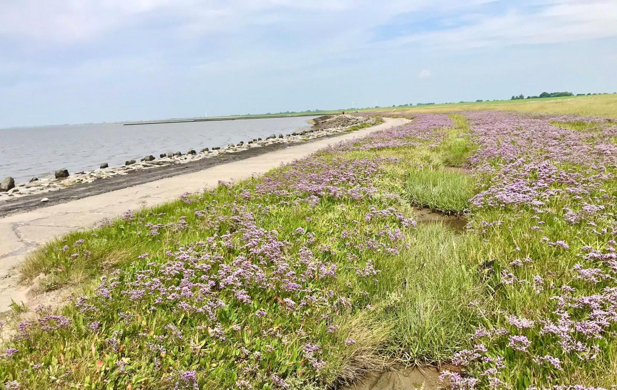 Haus Meerauszeit - Erholung An Der Nordsee Schweiburg Dış mekan fotoğraf